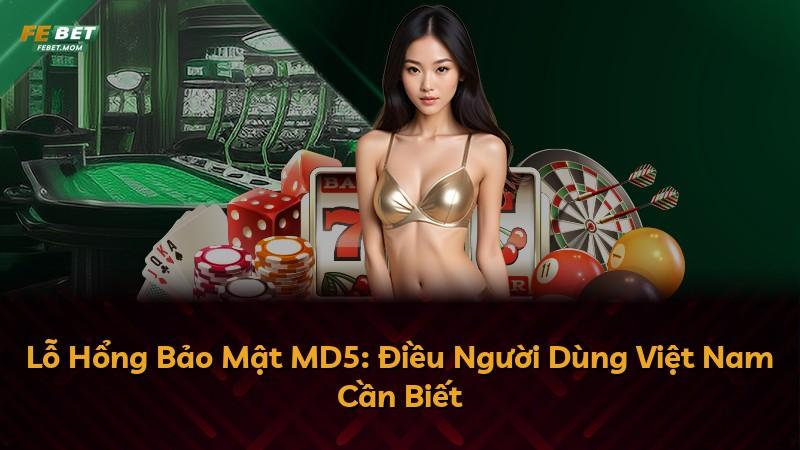 Lỗ Hổng Bảo Mật MD5: Điều Người Dùng Việt Nam Cần Biết