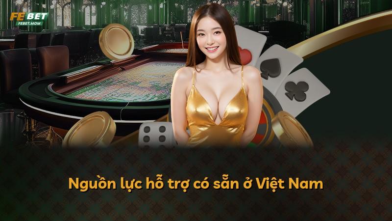 Nguồn lực hỗ trợ có sẵn ở Việt Nam