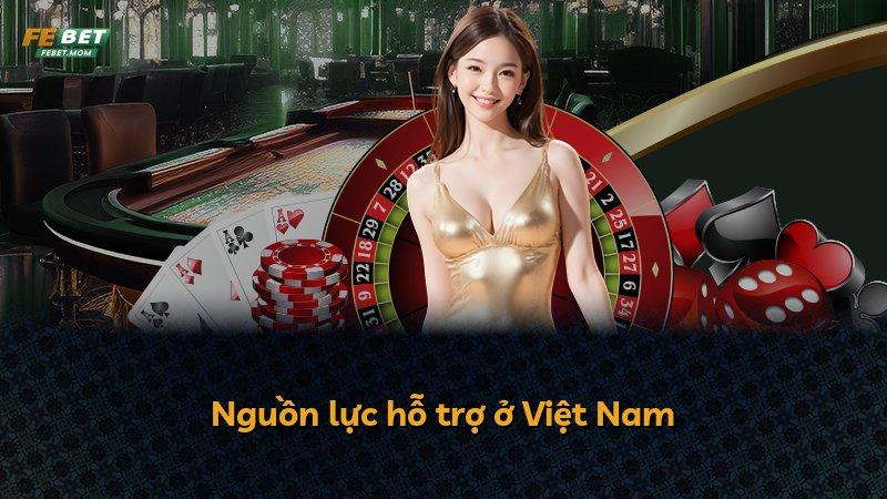 Nguồn lực hỗ trợ ở Việt Nam